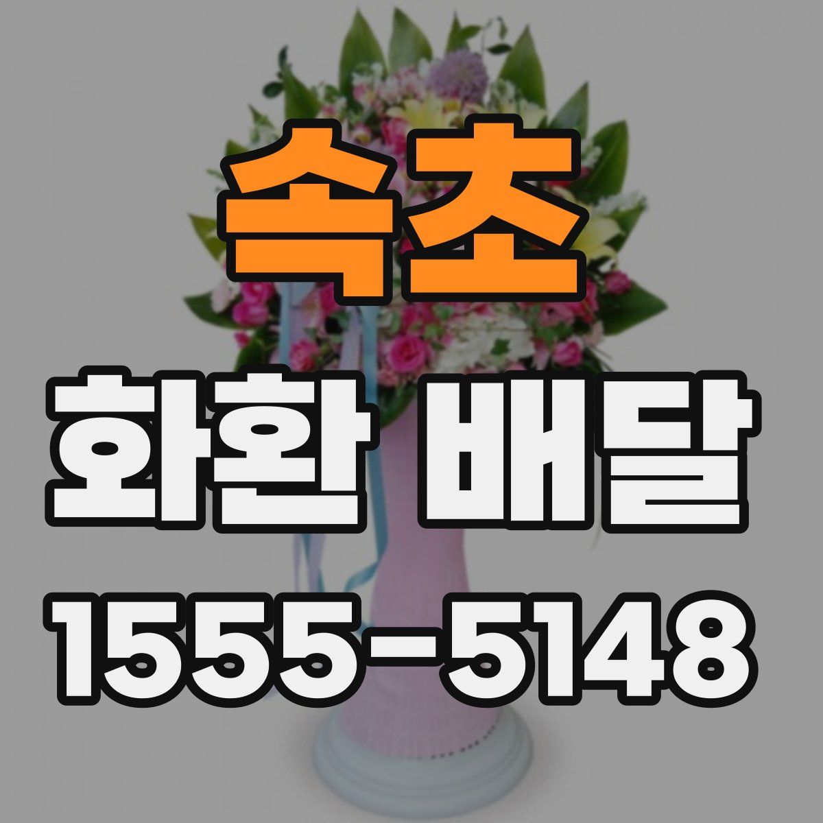 속초 화환 배달