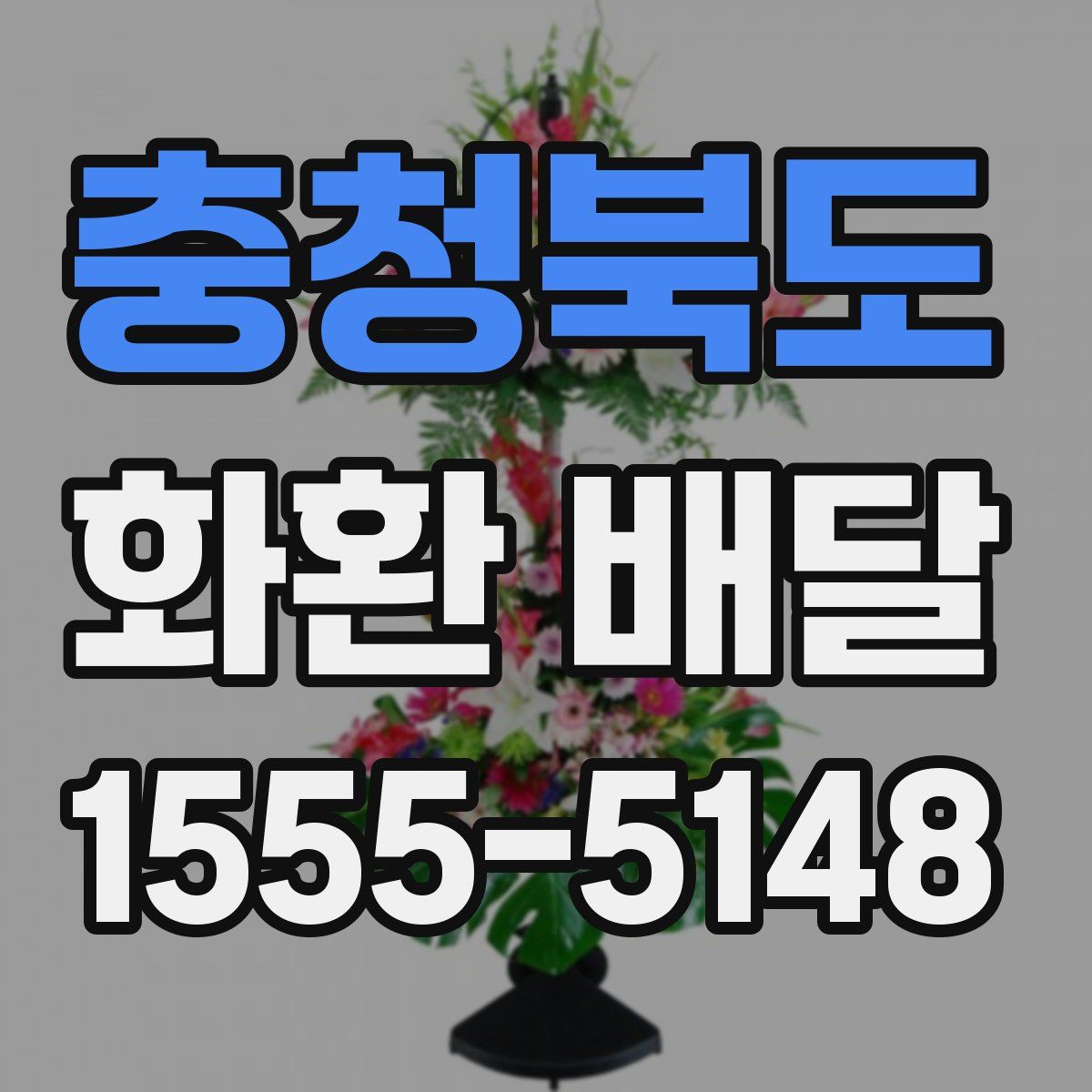 충청북도 화환 배달