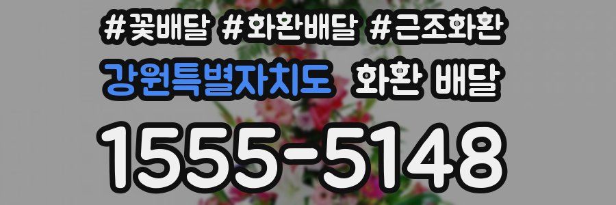 강원특별자치도 화환 배달