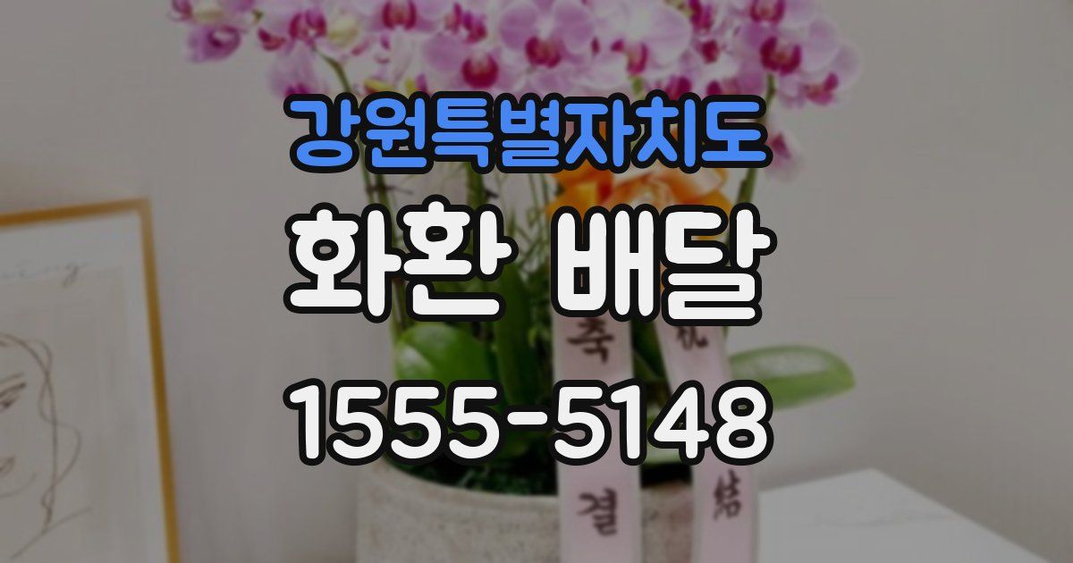 강원특별자치도 화환 배달