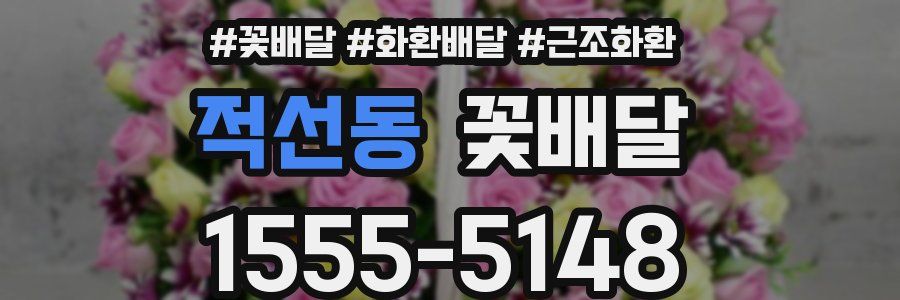 적선동 꽃배달