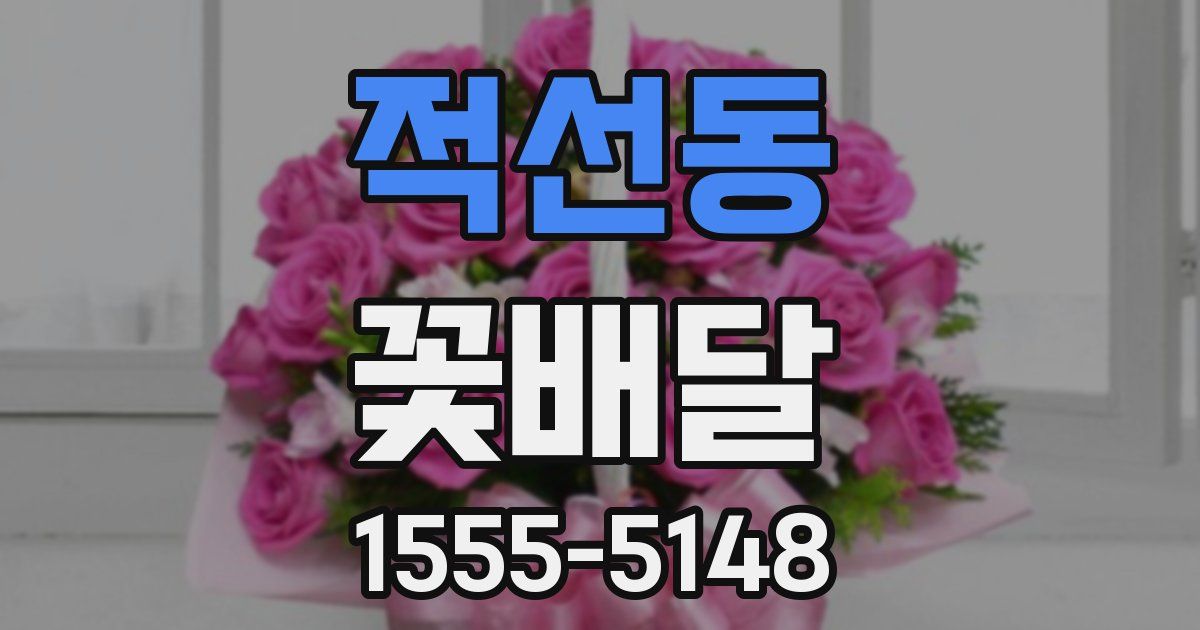 적선동 꽃배달