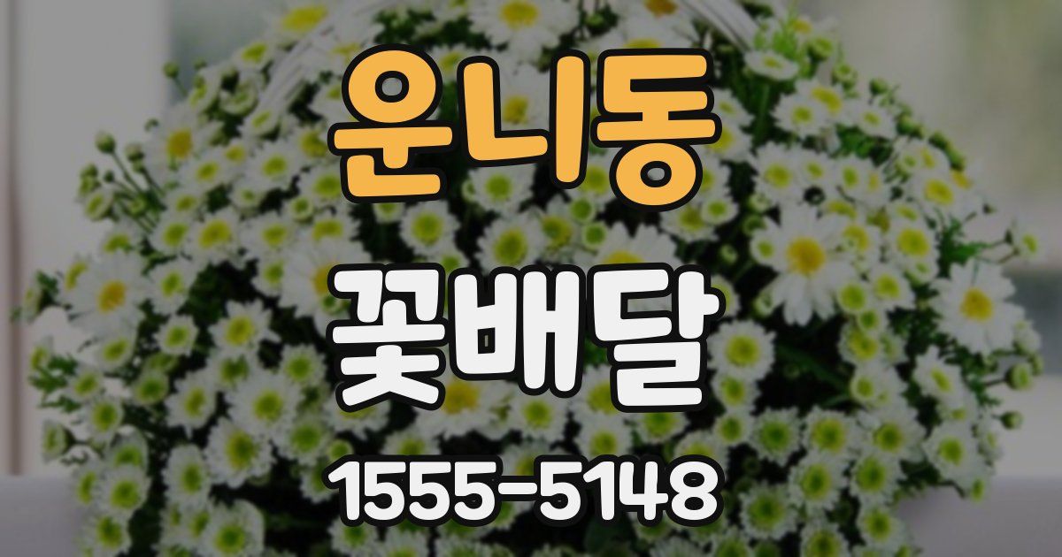 운니동 꽃배달