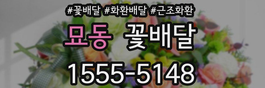 묘동 꽃배달