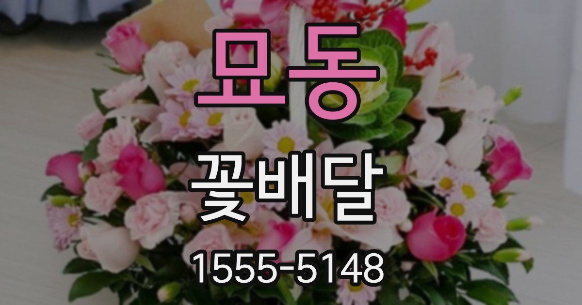 묘동 꽃배달