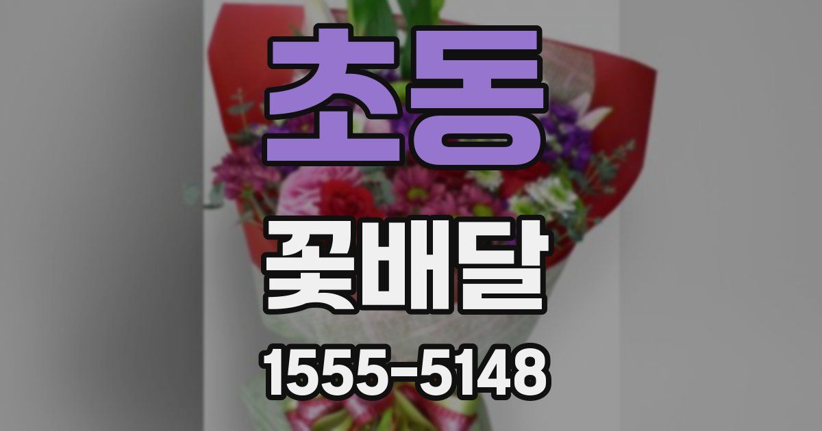 초동 꽃배달