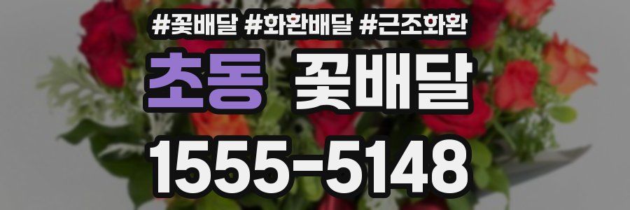 초동 꽃배달