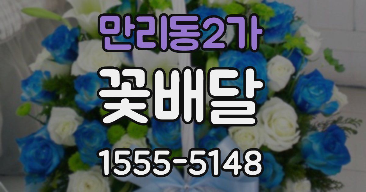 만리동2가 꽃배달