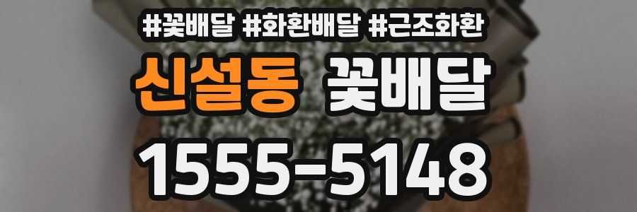 신설동 꽃배달