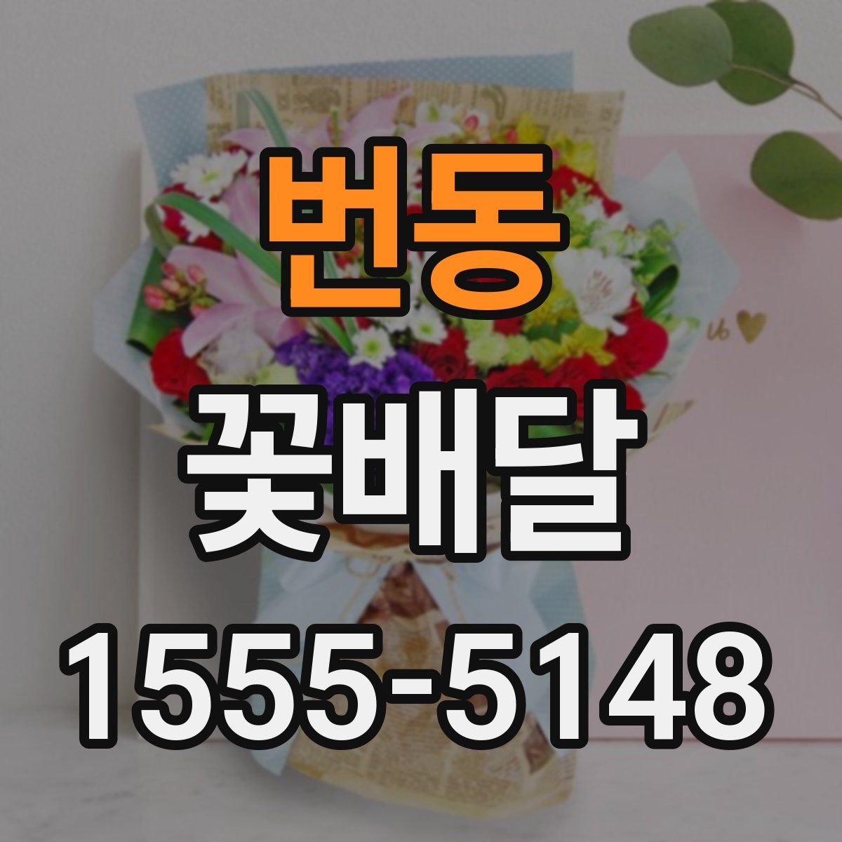 번동 꽃배달