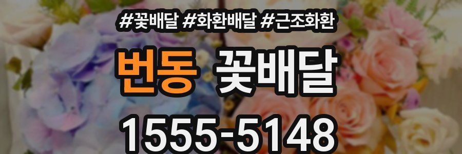 번동 꽃배달