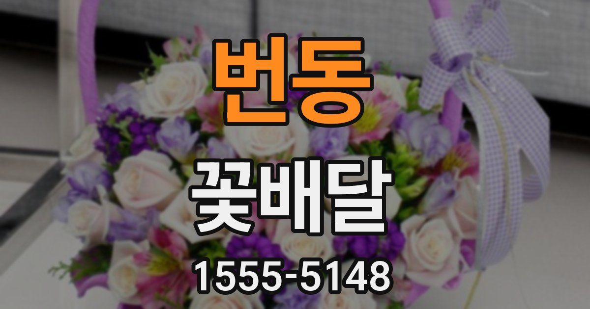 번동 꽃배달