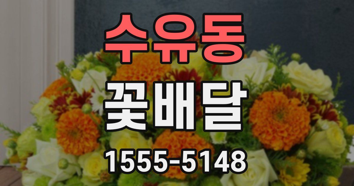 수유동 꽃배달