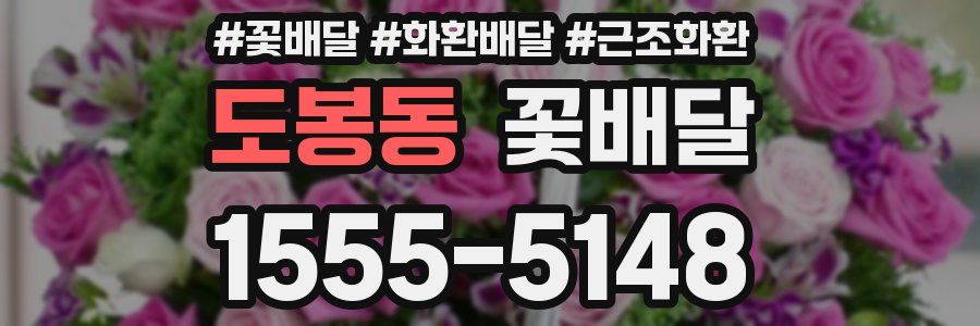 도봉동 꽃배달