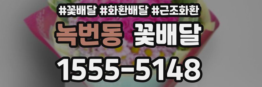 녹번동 꽃배달