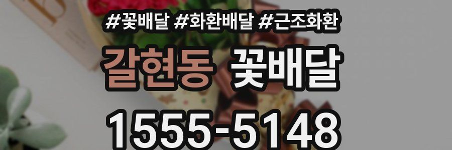 갈현동 꽃배달
