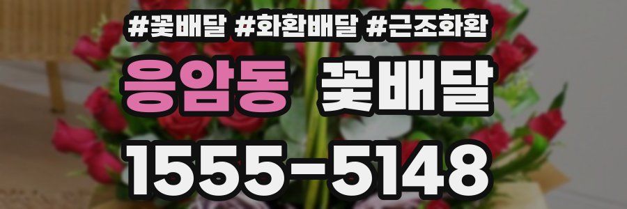 응암동 꽃배달