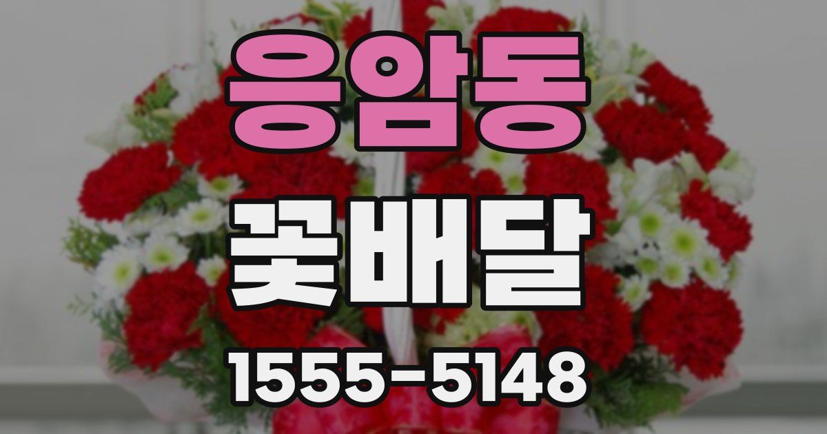 응암동 꽃배달