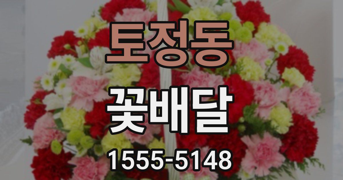 토정동 꽃배달