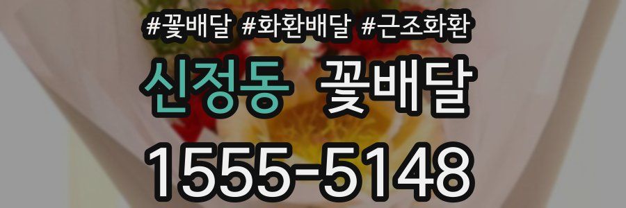 신정동 꽃배달