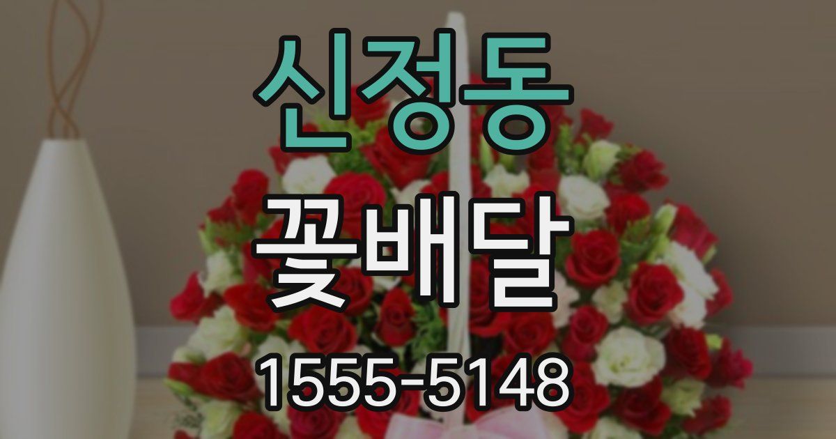 신정동 꽃배달