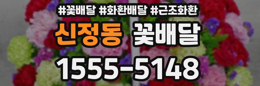 신정동 꽃배달
