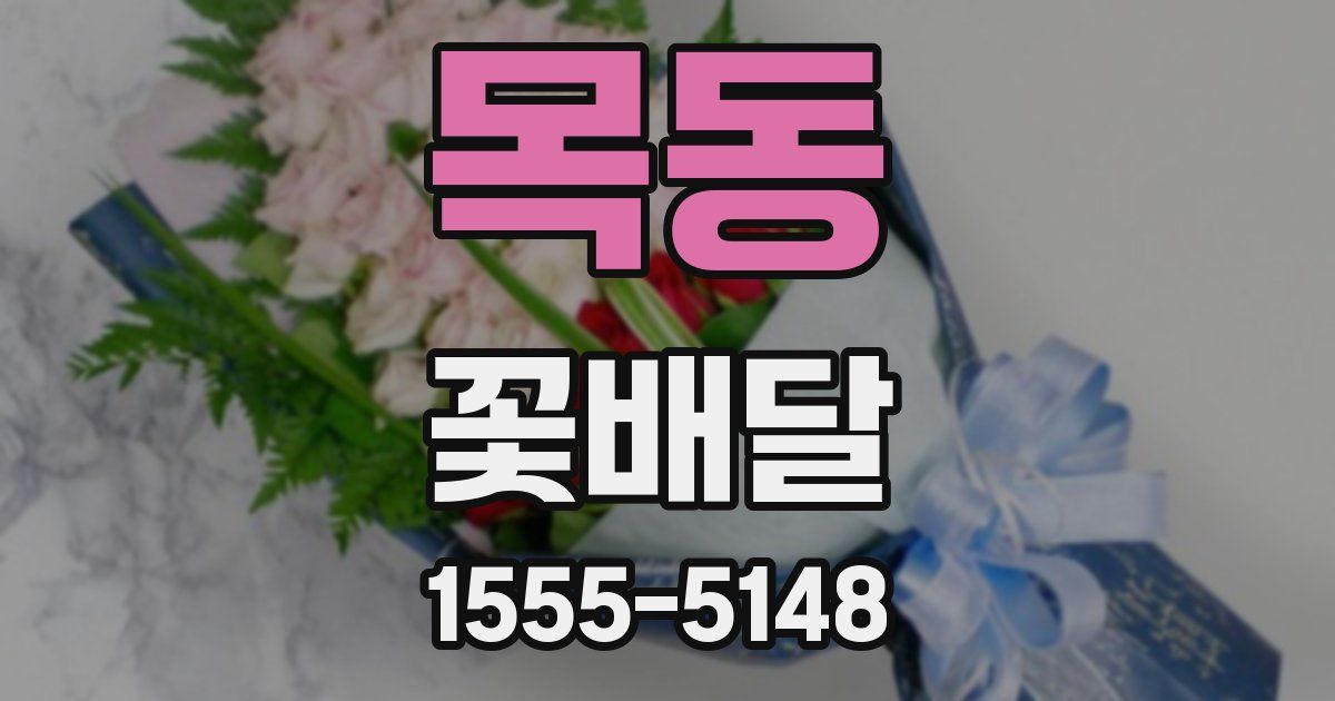목동 꽃배달