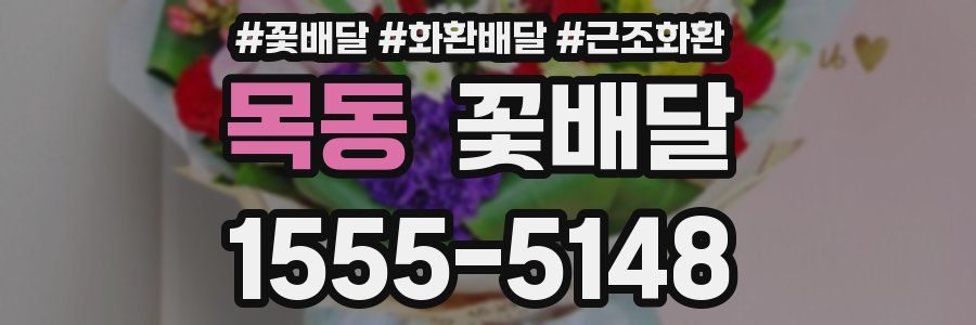 목동 꽃배달