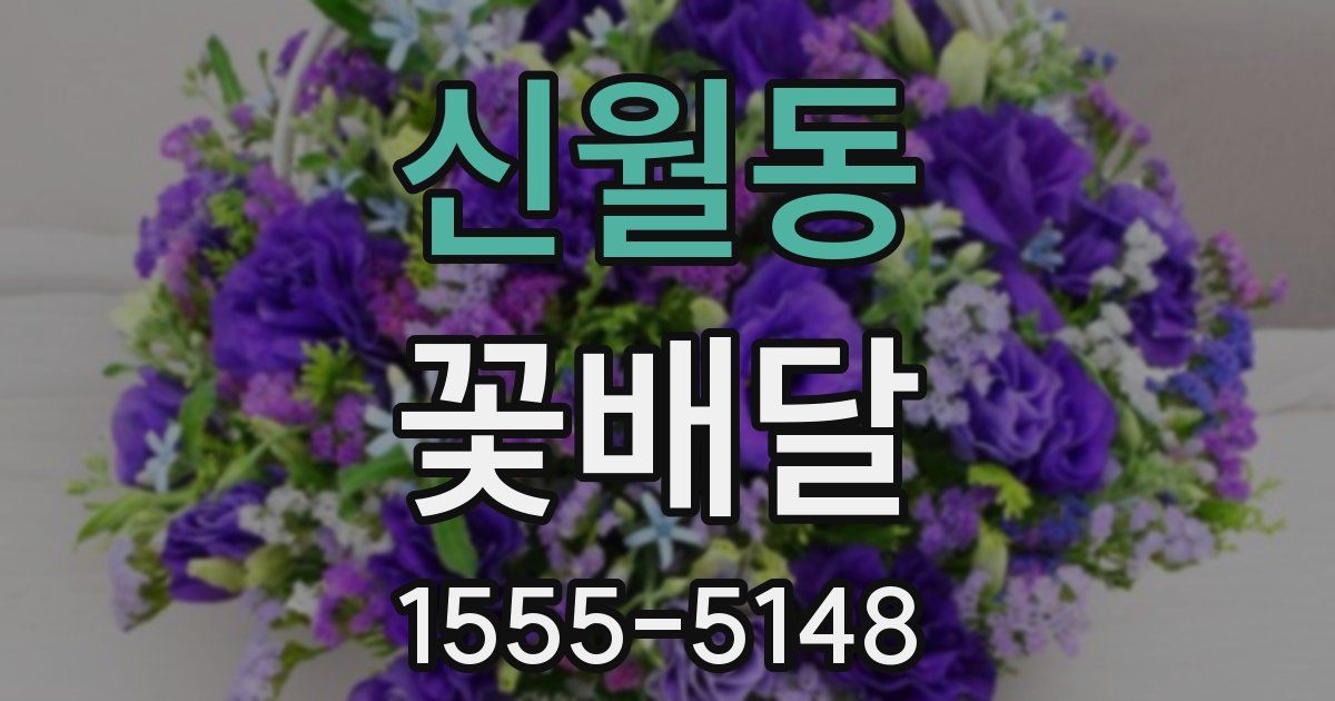 신월동 꽃배달