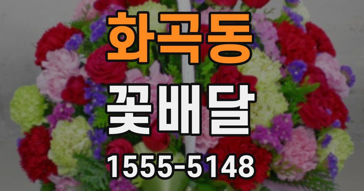 화곡동 꽃배달