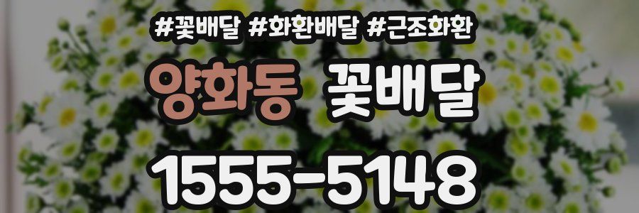 양화동 꽃배달