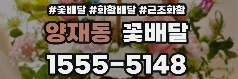 양재동 꽃배달