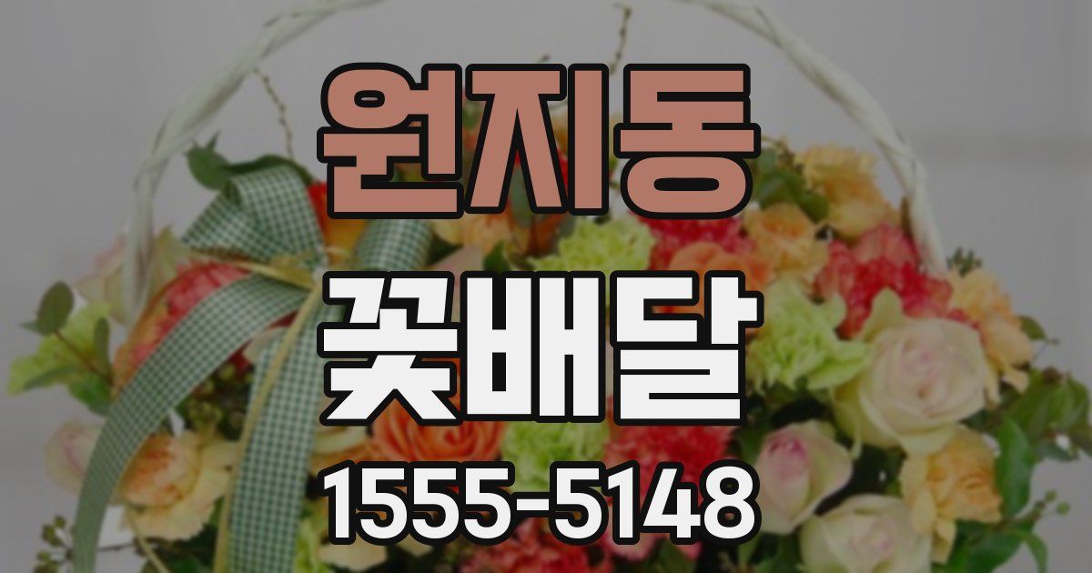 원지동 꽃배달