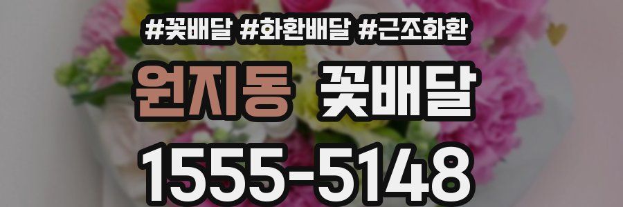 원지동 꽃배달