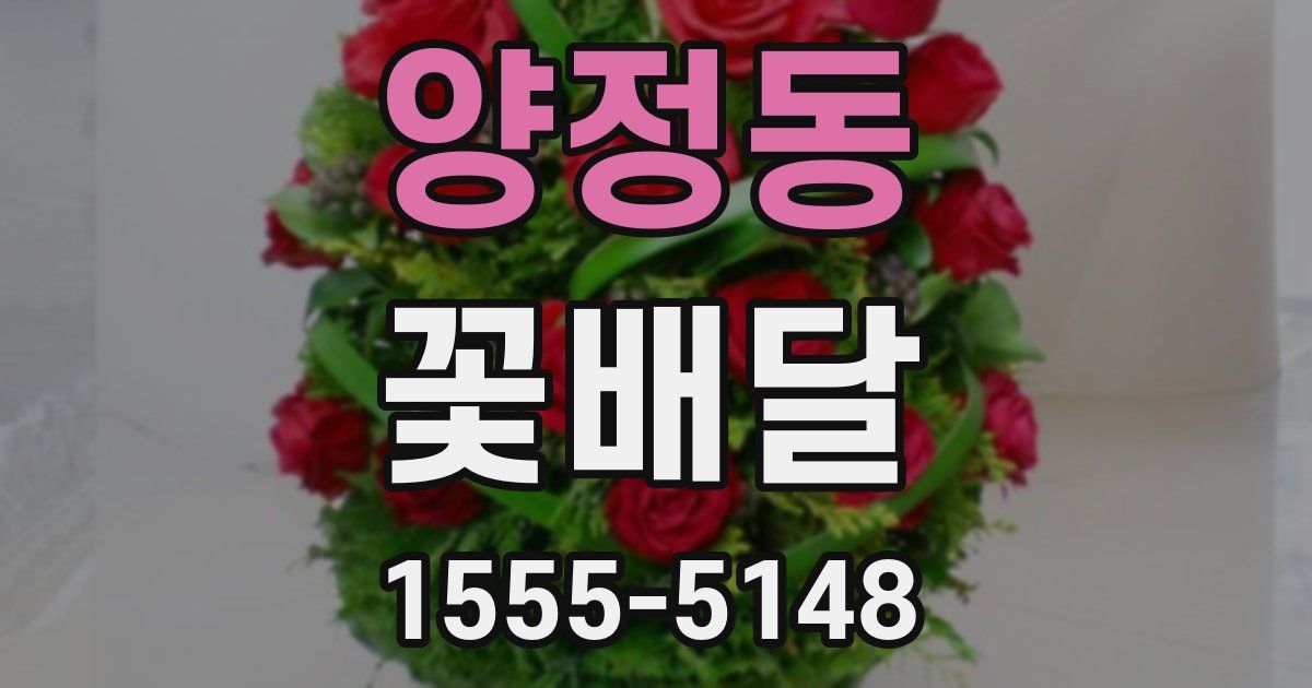 양정동 꽃배달