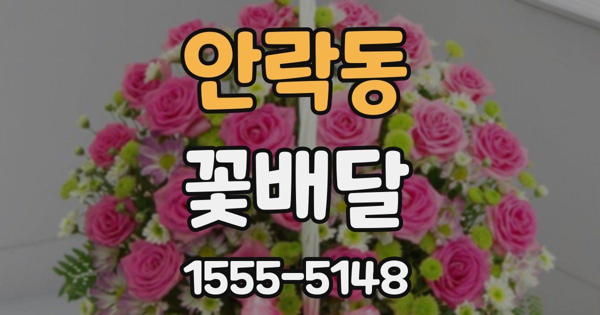 안락동 꽃배달