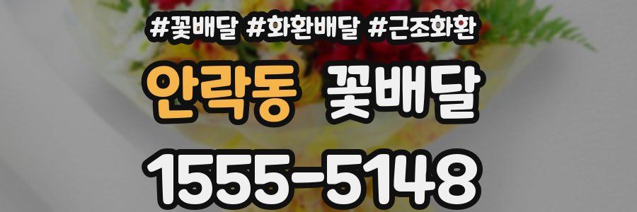 안락동 꽃배달