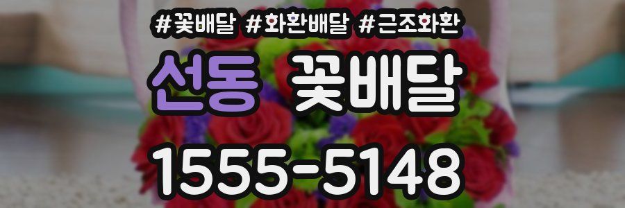 선동 꽃배달