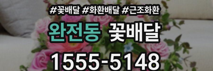 완전동 꽃배달