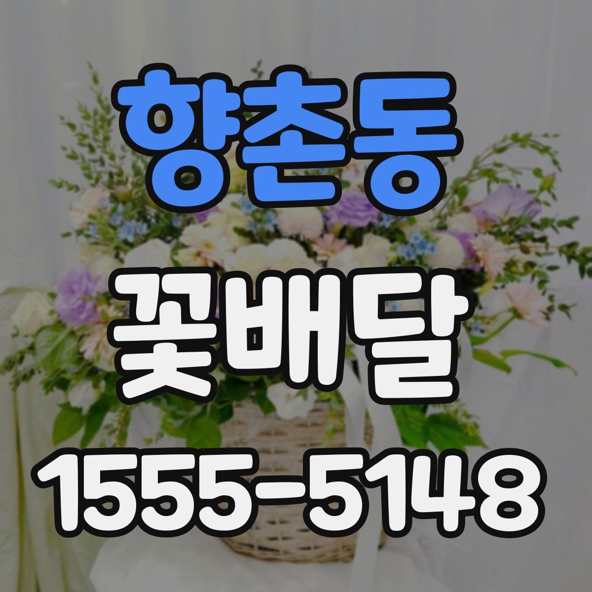 향촌동 꽃배달