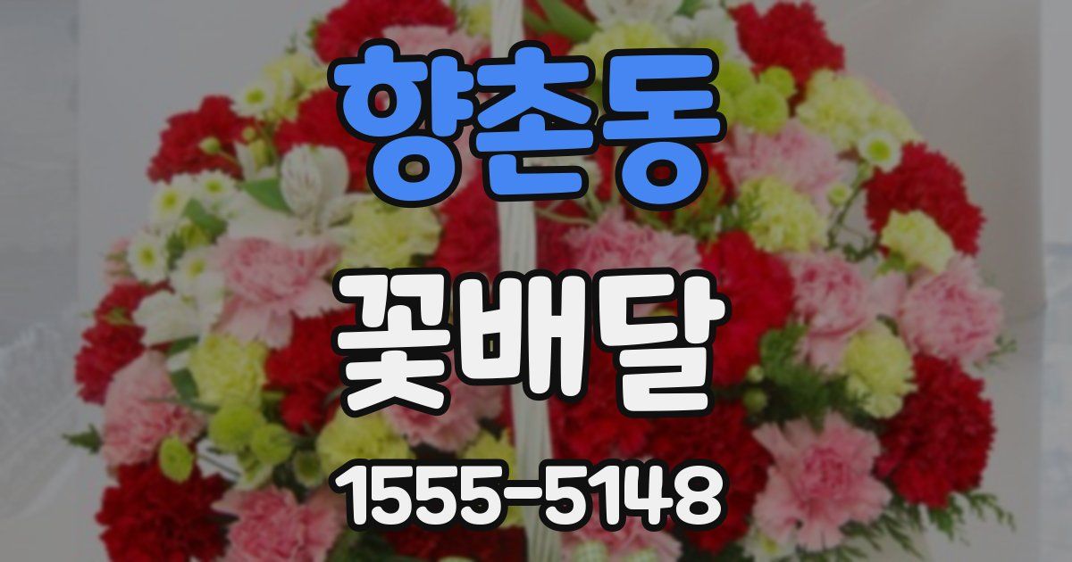 향촌동 꽃배달