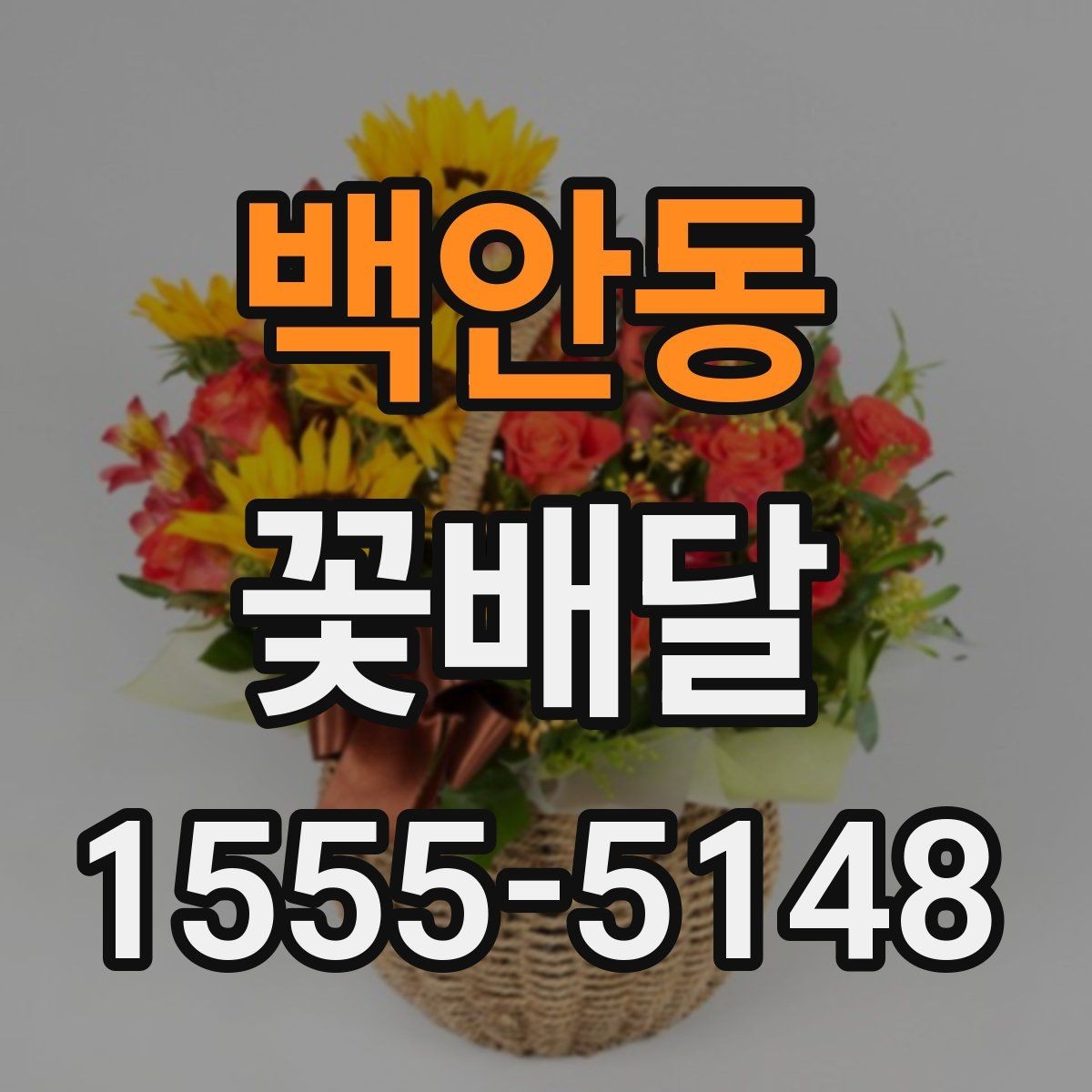 백안동 꽃배달 부모님 선물로 무난한 스타일 찾기