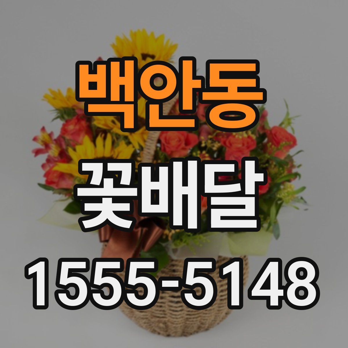 백안동 꽃배달