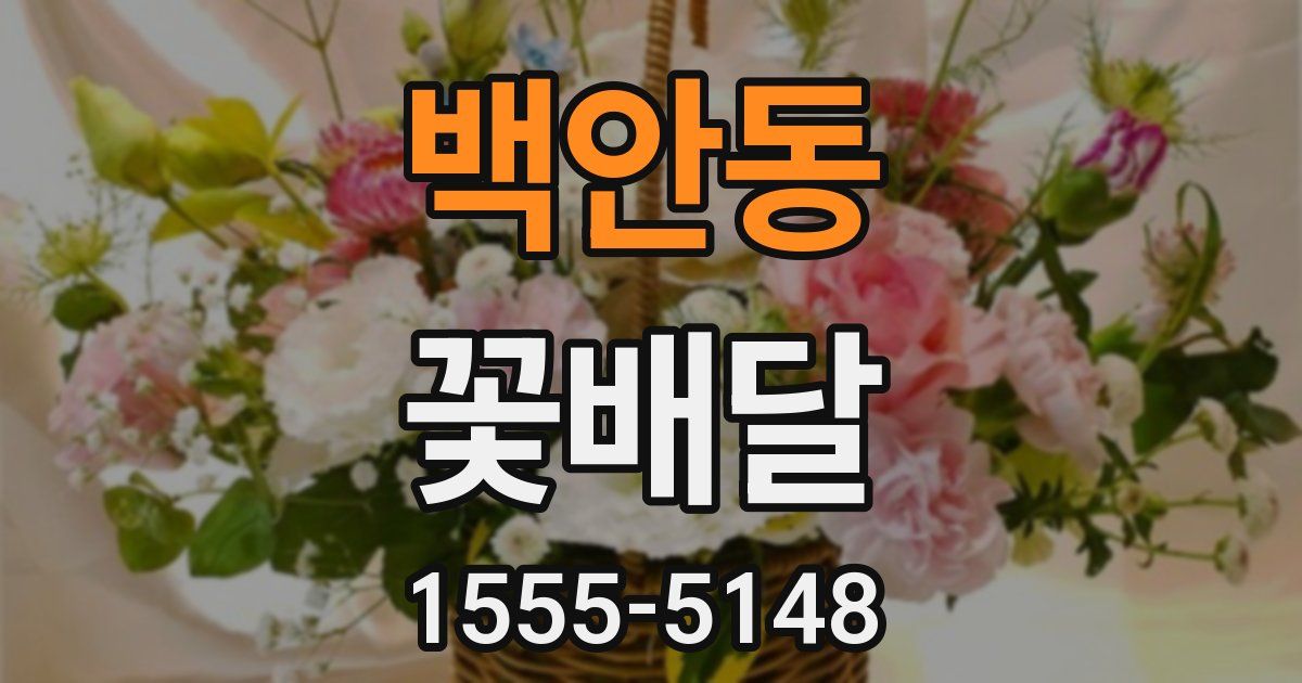 백안동 꽃배달
