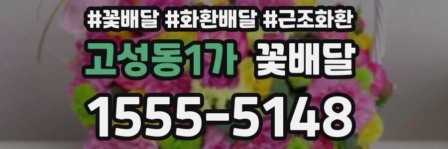 고성동1가 꽃배달