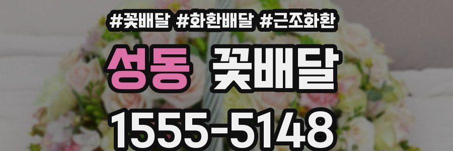 성동 꽃배달