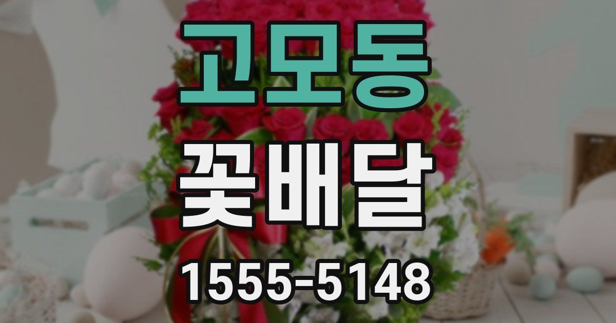 고모동 꽃배달