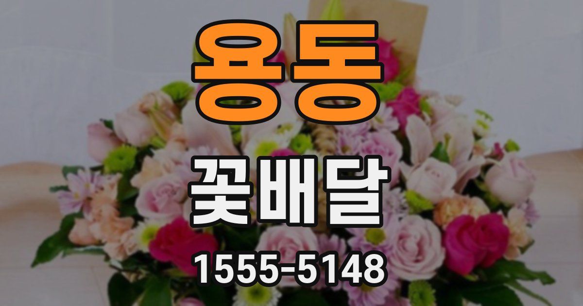 용동 꽃배달