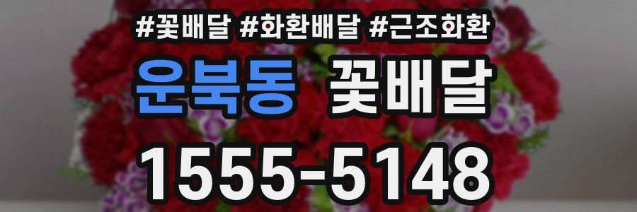 운북동 꽃배달