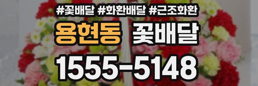 용현동 꽃배달